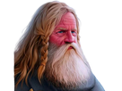 https://image.noelshack.com/fichiers/2021/04/3/1611786980-vieux-viking.png