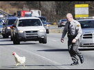 https://image.noelshack.com/fichiers/2021/04/5/1611944245-funny-police-chicken.jpg