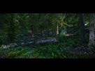 https://image.noelshack.com/fichiers/2021/05/1/1612153236-skyrimse-2021-02-01-05-10-21-compressed.jpg