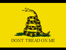 https://image.noelshack.com/fichiers/2021/05/2/1612251578-1200px-gadsden-flag-svg.png