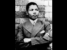 https://image.noelshack.com/fichiers/2021/05/3/1612375984-180px-young-mandela.jpg