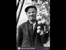 https://image.noelshack.com/fichiers/2021/05/3/1612378476-agriculteur-tout-en-collectant-les-agrumes-palerme-sicile-italie-1930-t0e298.jpg