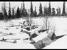 https://image.noelshack.com/fichiers/2021/05/4/1612395459-253px-the-war-in-finland-1940-hu55566.jpg