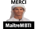 https://image.noelshack.com/fichiers/2021/05/4/1612395953-maitrembti-merci-min.png