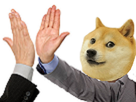 https://image.noelshack.com/fichiers/2021/05/4/1612442014-doge-check.png