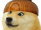 https://image.noelshack.com/fichiers/2021/05/4/1612443065-doge-bolenbwa-2.png