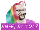 https://image.noelshack.com/fichiers/2021/05/4/1612468344-maitrembti-enfp-et-toi.png
