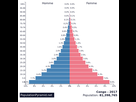 https://image.noelshack.com/fichiers/2021/05/5/1612518505-images-populationpyramid-net.png