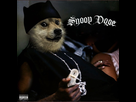 https://image.noelshack.com/fichiers/2021/05/6/1612649231-snoop-dogecoin-ahissent.jpeg