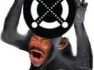 https://image.noelshack.com/fichiers/2021/05/7/1612717532-singeegold.png