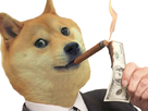 https://image.noelshack.com/fichiers/2021/06/3/1612975908-1612449921-doge-flambeur.png