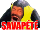 https://image.noelshack.com/fichiers/2021/06/4/1613051862-117276-full.png