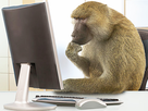 https://image.noelshack.com/fichiers/2021/06/6/1613175347-1526510024-monkey-computer-2.jpg