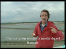 https://image.noelshack.com/fichiers/2021/06/7/1613325306-seelfr.jpg
