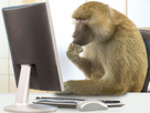 https://www.noelshack.com/2021-07-1-1613410119-1526510024-monkey-computer-2.jpg