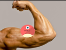 https://image.noelshack.com/fichiers/2021/07/1/1613412012-muschold.png