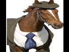 https://image.noelshack.com/fichiers/2021/07/2/1613430193-zeaezea.png