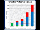 https://image.noelshack.com/fichiers/2021/07/2/1613484174-biomass.jpg