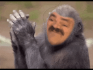 https://image.noelshack.com/fichiers/2021/07/4/1613644149-182177-full.gif