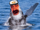 https://image.noelshack.com/fichiers/2021/07/4/1613675072-risitas-baleine-56815-full.png