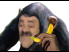 https://image.noelshack.com/fichiers/2021/07/4/1613680938-singix.png