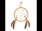 https://image.noelshack.com/fichiers/2021/07/5/1613735030-0000629-ojibwe-dreamcatcher.jpeg