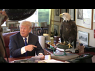 https://image.noelshack.com/fichiers/2021/07/7/1613866344-donald-trump-bald-eagle-attack.jpg