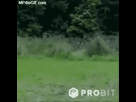 https://image.noelshack.com/fichiers/2021/08/1/1613985235-telechargement.gif