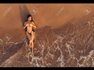 https://image.noelshack.com/fichiers/2021/08/2/1614073040-156939532-high-up-image-drone-aerial-photo-naked-woman-hides-breast-with-palms-posing-lying-on-sandy-beach-dur.jpg