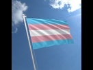 https://image.noelshack.com/fichiers/2021/08/3/1614151758-transgender-flag-std.jpg