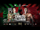 https://image.noelshack.com/fichiers/2021/08/3/1614170818-canelo-yildirim.jpeg
