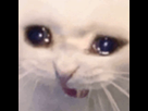 https://image.noelshack.com/fichiers/2021/09/5/1614941931-tenor.png
