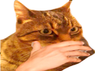 https://image.noelshack.com/fichiers/2021/09/6/1615048672-1609373093-img-20201228-175211-removebg-preview.png