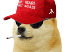 https://image.noelshack.com/fichiers/2021/10/1/1615194843-le-doge-maga.png