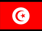 https://image.noelshack.com/fichiers/2021/10/1/1615210461-1009611-drapeau-de-la-tunisie.jpg
