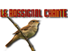 https://image.noelshack.com/fichiers/2021/10/5/1615560966-laborix-rossignol.png