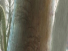 https://image.noelshack.com/fichiers/2021/10/6/1615646033-26-n6cp7bbr.png