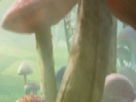 https://image.noelshack.com/fichiers/2021/10/6/1615646034-45-n6cp7bbr.png