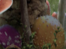 https://image.noelshack.com/fichiers/2021/10/6/1615646064-50-n6cp7bbr.png