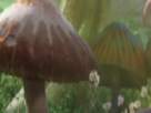 https://image.noelshack.com/fichiers/2021/10/6/1615646064-53-n6cp7bbr.png