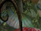 https://image.noelshack.com/fichiers/2021/10/6/1615646064-58-n6cp7bbr.png