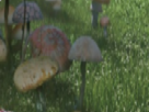 https://image.noelshack.com/fichiers/2021/10/6/1615646065-59-n6cp7bbr.png