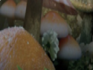 https://image.noelshack.com/fichiers/2021/10/6/1615646065-70-n6cp7bbr.png