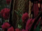 https://image.noelshack.com/fichiers/2021/10/6/1615646097-72-n6cp7bbr.png