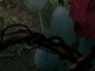 https://image.noelshack.com/fichiers/2021/10/6/1615646097-73-n6cp7bbr.png