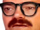 https://image.noelshack.com/fichiers/2021/10/7/1615746071-1610904312-risitas-blase-zoom-hd-lunette.png