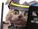 https://image.noelshack.com/fichiers/2021/11/1/1615791419-666d2629-39c0-4dc2-9714-d9019edc0d96.png