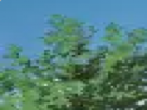 https://image.noelshack.com/fichiers/2021/11/2/1615851635-17-pci2qmel.png