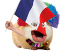 https://image.noelshack.com/fichiers/2021/11/2/1615881445-cochon-d-inde-clown-francais.png