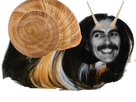 https://image.noelshack.com/fichiers/2021/11/2/1615920089-cochon-d-harissou-escargot.png